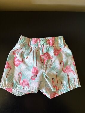 Baby boys ruffle butts swim trunks like new